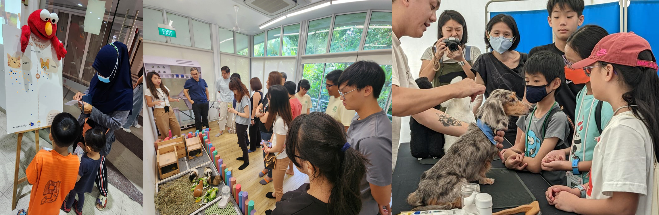 Pet welfare community outreach events